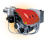 Dual Burner